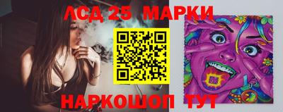 дмт Тара