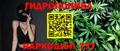 дмт Тара