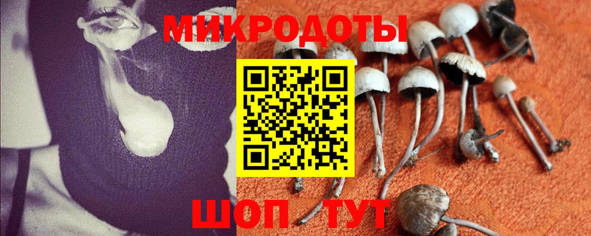 Псилоцибиновые грибы Psilocybe  Псилоцибиновые грибы Magic Shrooms  Мурманск  Вход с VPN 